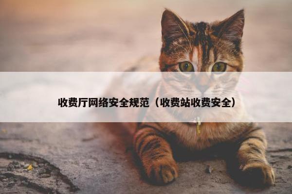 收费厅网络安全规范（收费站收费安全）