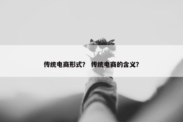 传统电商形式？ 传统电商的含义？