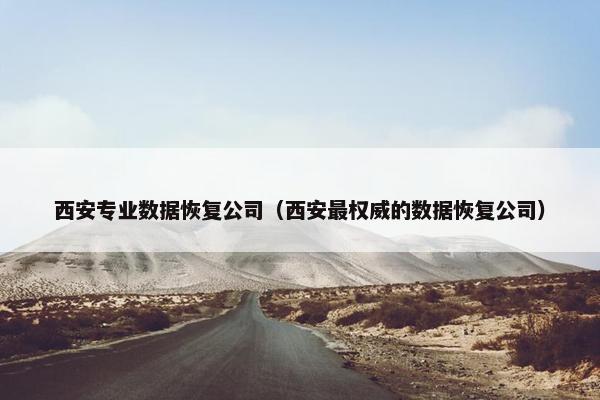 西安专业数据恢复公司（西安最权威的数据恢复公司）