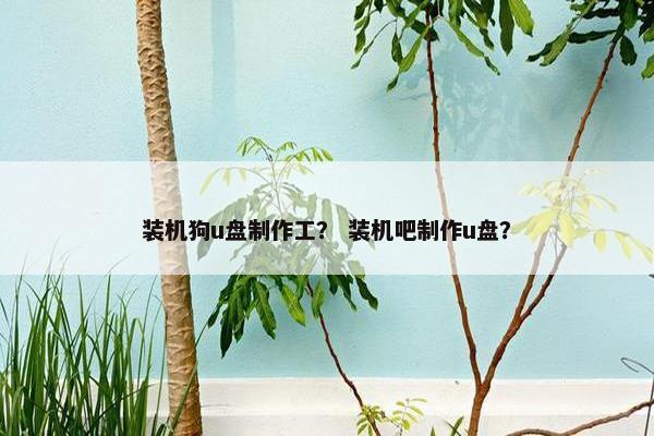 装机狗u盘制作工？ 装机吧制作u盘？