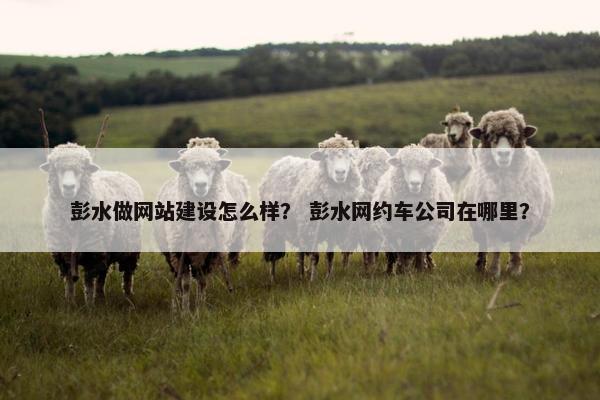 彭水做网站建设怎么样？ 彭水网约车公司在哪里？