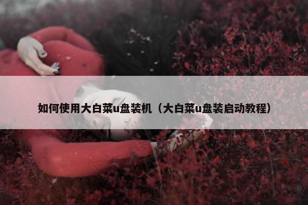 如何使用大白菜u盘装机（大白菜u盘装启动教程）