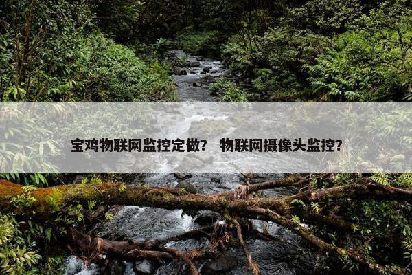 宝鸡物联网监控定做？ 物联网摄像头监控？
