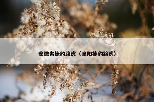 安徽省捷豹路虎（阜阳捷豹路虎）