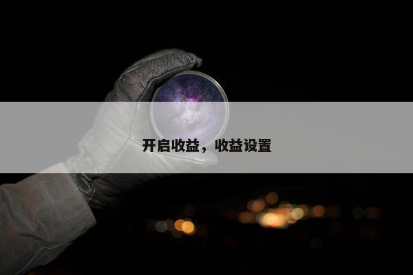 开启收益，收益设置