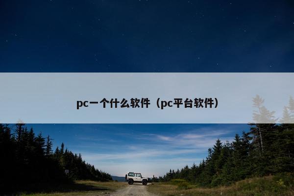pc一个什么软件（pc平台软件）
