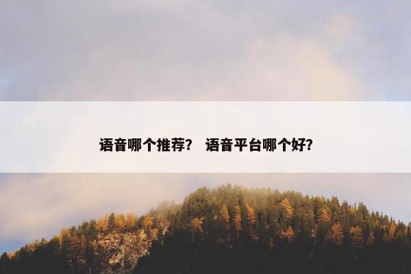 语音哪个推荐？ 语音平台哪个好？
