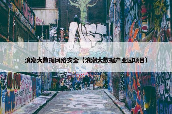 浪潮大数据网络安全（浪潮大数据产业园项目）