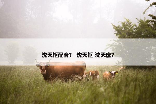 沈天枢配音？ 沈天枢 沈天庶？