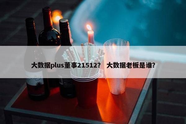 大数据plus董事21512？ 大数据老板是谁？