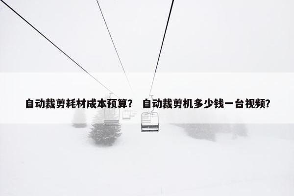 自动裁剪耗材成本预算？ 自动裁剪机多少钱一台视频？
