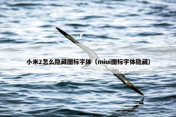 小米2怎么隐藏图标字体（miui图标字体隐藏）