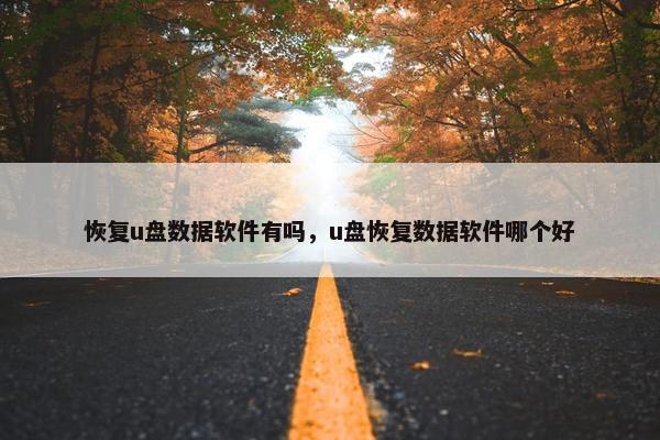 恢复u盘数据软件有吗，u盘恢复数据软件哪个好