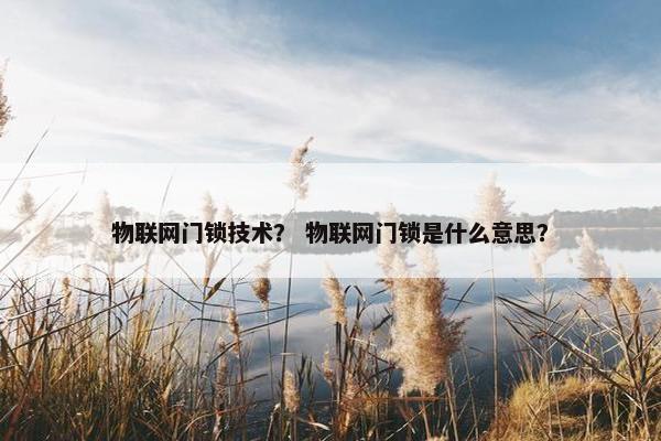 物联网门锁技术？ 物联网门锁是什么意思？