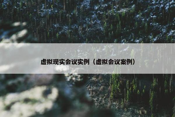虚拟现实会议实例（虚拟会议案例）