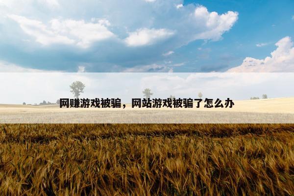 网赚游戏被骗，网站游戏被骗了怎么办