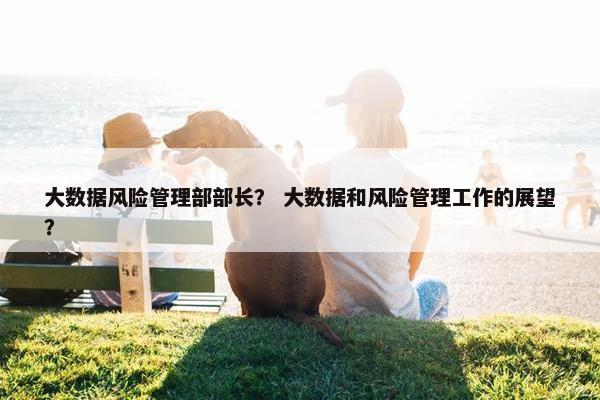 大数据风险管理部部长？ 大数据和风险管理工作的展望？