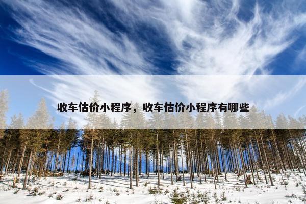 收车估价小程序，收车估价小程序有哪些