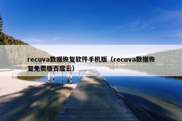 recuva数据恢复软件手机版（recuva数据恢复免费版百度云）