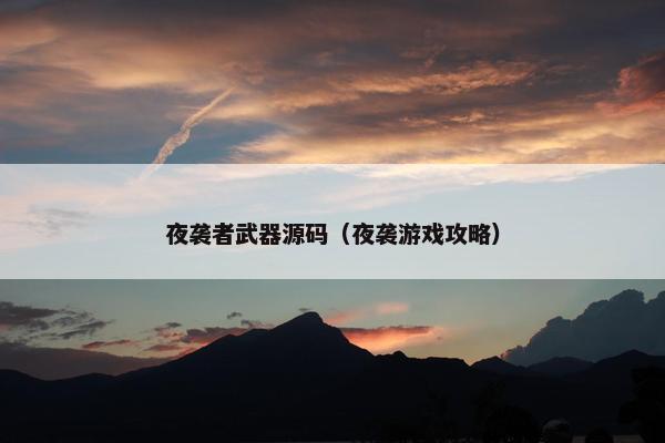 夜袭者武器源码（夜袭游戏攻略）