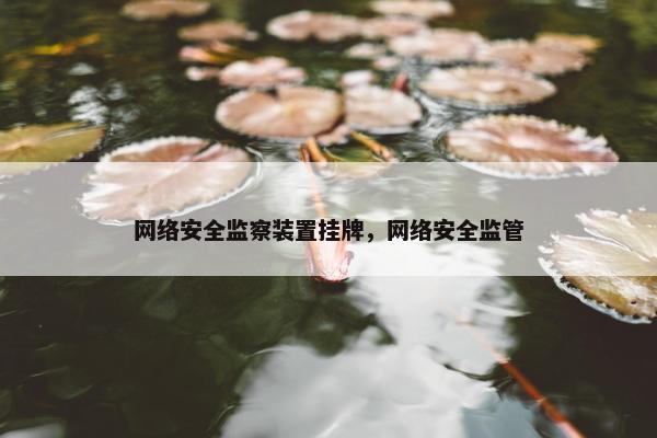 网络安全监察装置挂牌，网络安全监管