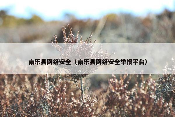 南乐县网络安全（南乐县网络安全举报平台）