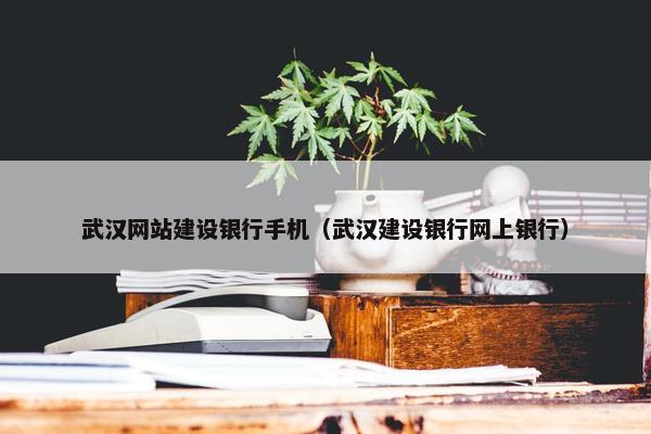武汉网站建设银行手机（武汉建设银行网上银行）