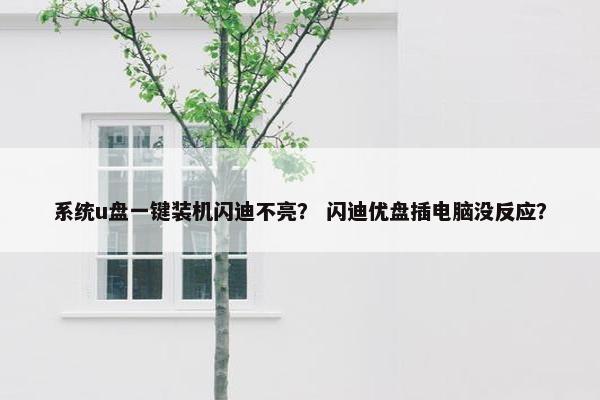 系统u盘一键装机闪迪不亮？ 闪迪优盘插电脑没反应？