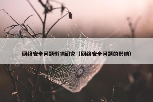 网络安全问题影响研究（网络安全问题的影响）