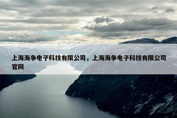 上海海争电子科技有限公司，上海海争电子科技有限公司官网