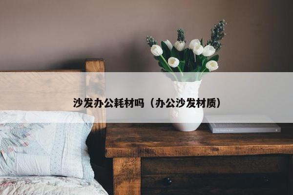 沙发办公耗材吗（办公沙发材质）