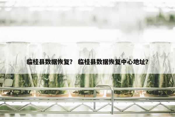 临桂县数据恢复？ 临桂县数据恢复中心地址？
