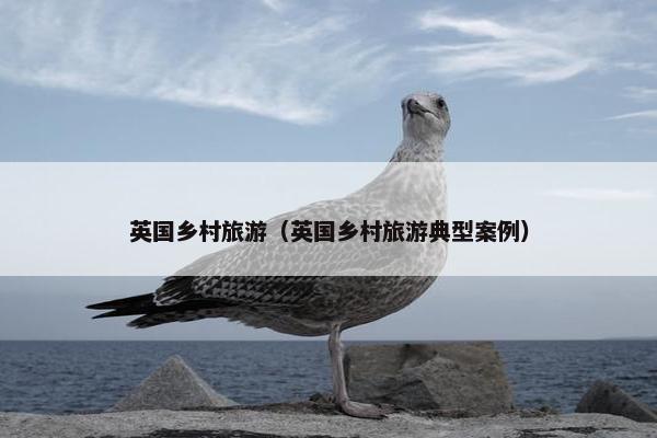 英国乡村旅游（英国乡村旅游典型案例）