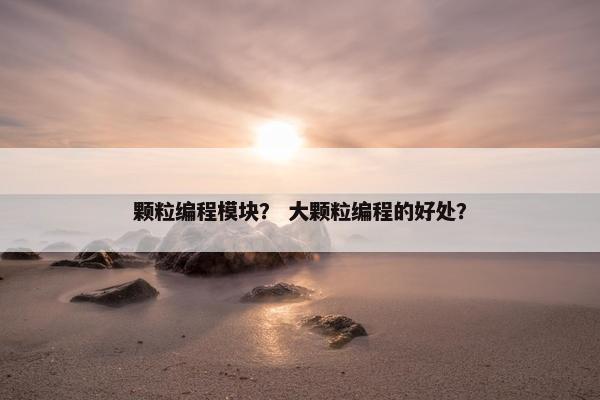 颗粒编程模块？ 大颗粒编程的好处？