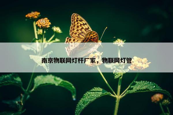 南京物联网灯杆厂家，物联网灯管