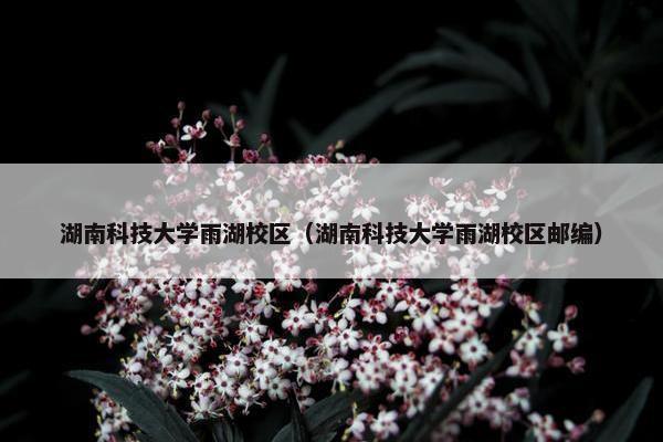 湖南科技大学雨湖校区（湖南科技大学雨湖校区邮编）