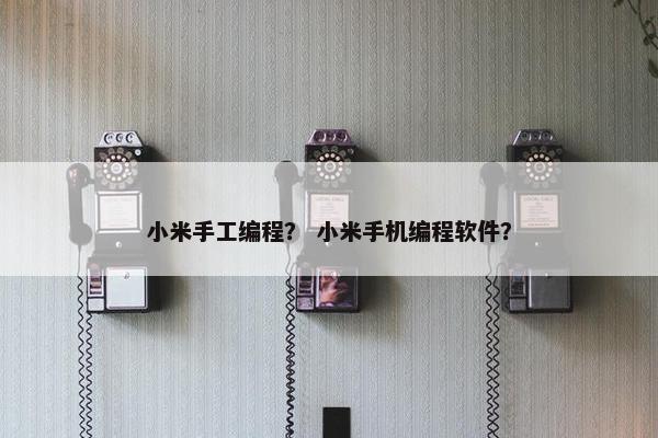 小米手工编程？ 小米手机编程软件？