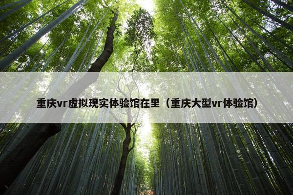 重庆vr虚拟现实体验馆在里（重庆大型vr体验馆）
