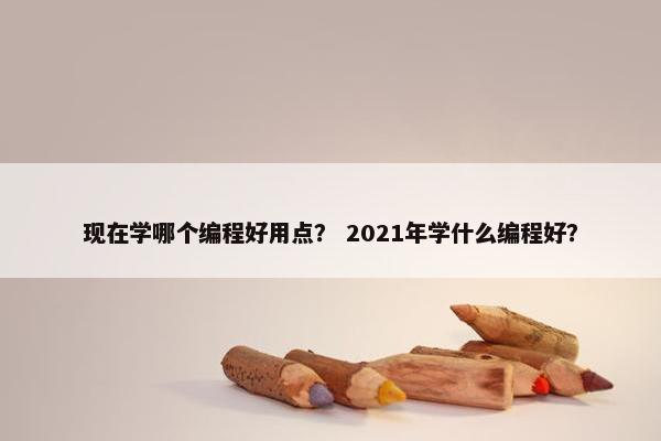 现在学哪个编程好用点？ 2021年学什么编程好？
