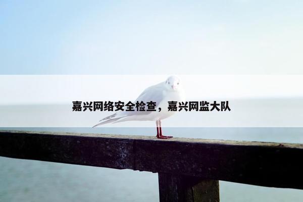 嘉兴网络安全检查，嘉兴网监大队