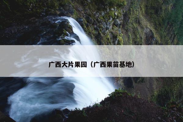 广西大片果园（广西果苗基地）