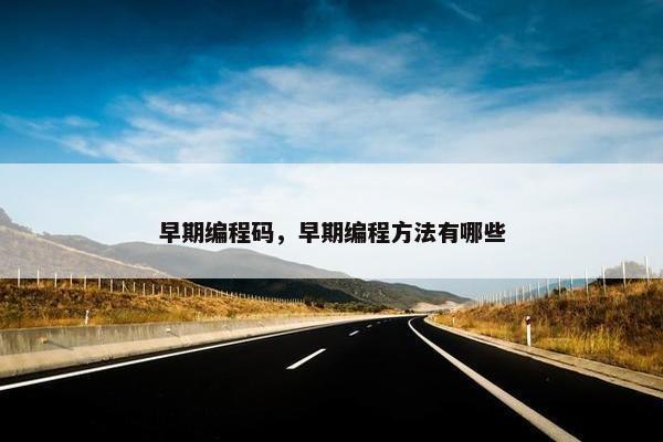 早期编程码，早期编程方法有哪些
