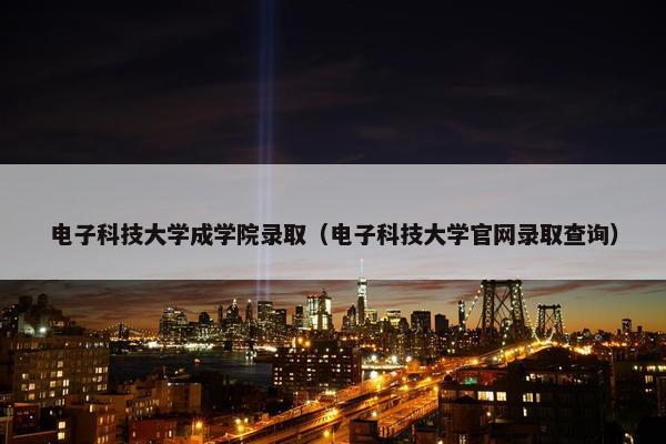 电子科技大学成学院录取（电子科技大学官网录取查询）