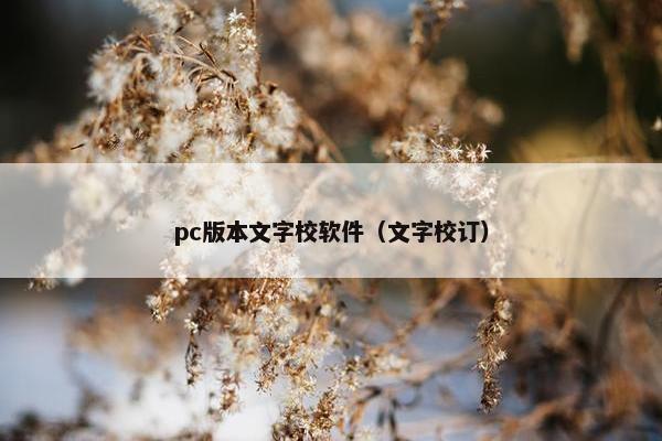 pc版本文字校软件（文字校订）
