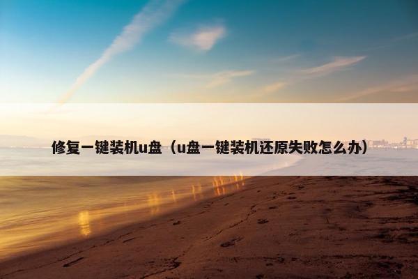 修复一键装机u盘（u盘一键装机还原失败怎么办）