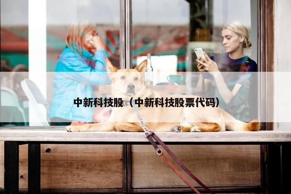 中新科技股（中新科技股票代码）