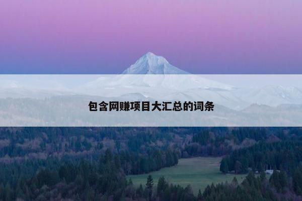 包含网赚项目大汇总的词条