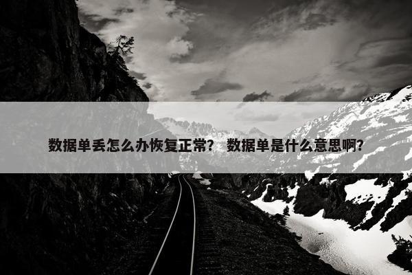 数据单丢怎么办恢复正常？ 数据单是什么意思啊？