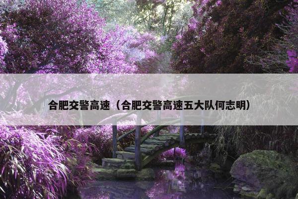 合肥交警高速（合肥交警高速五大队何志明）