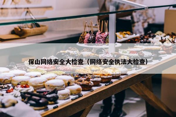 保山网络安全大检查（网络安全执法大检查）